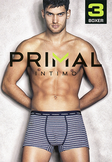 Трусы Primal